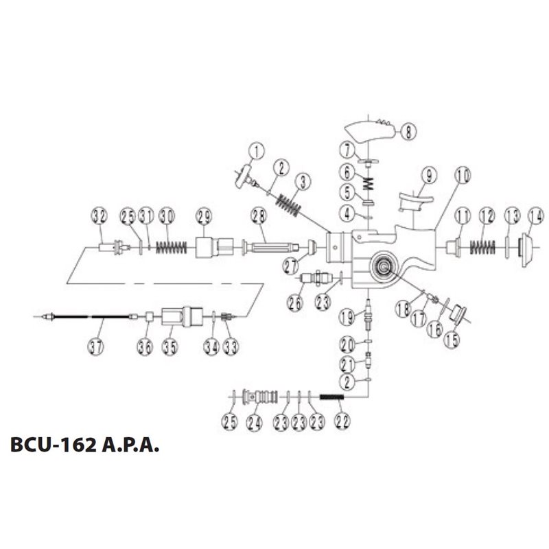 BCU-162 A.P.A.